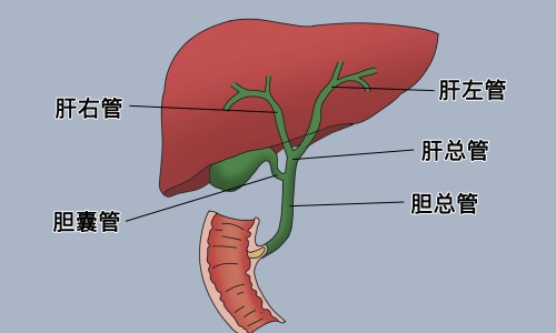 冷水漱口的效果网 - 网站提供冷水漱口好不好小常识、冷水漱口时牙齿酸疼是什么原因引起的